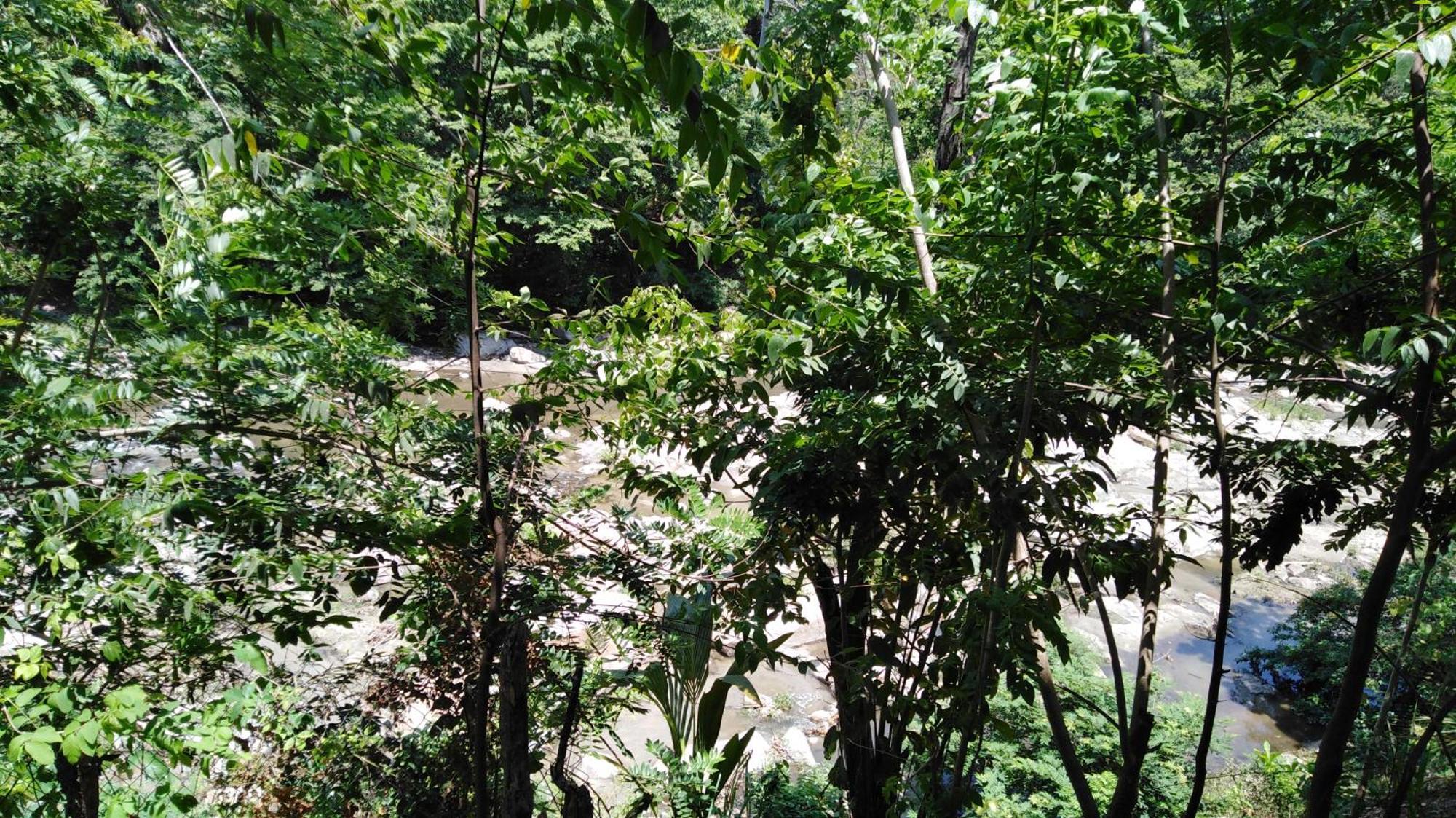 Sierra Tayrona Hostel El Zaino Exteriér fotografie