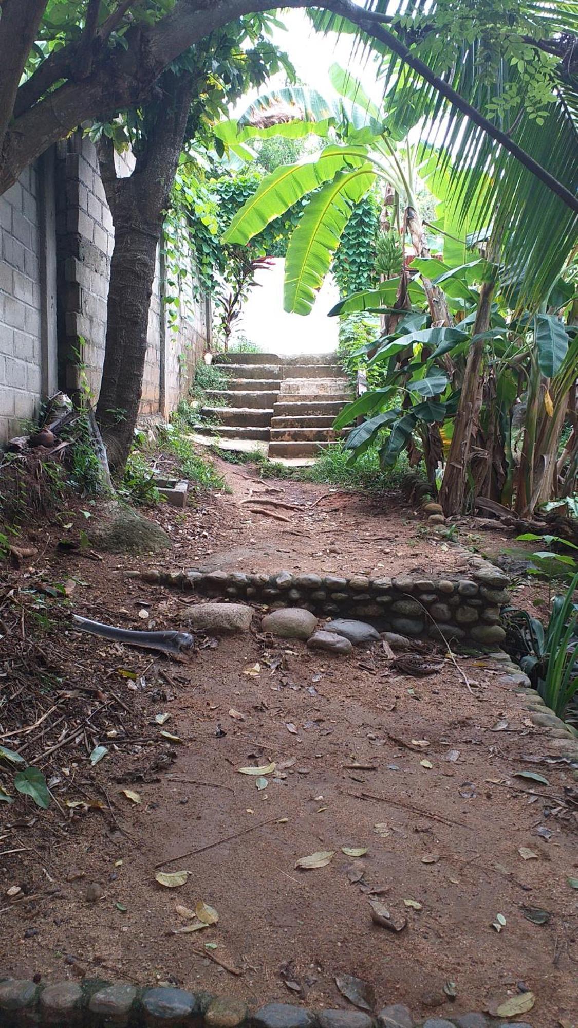 Sierra Tayrona Hostel El Zaino Exteriér fotografie