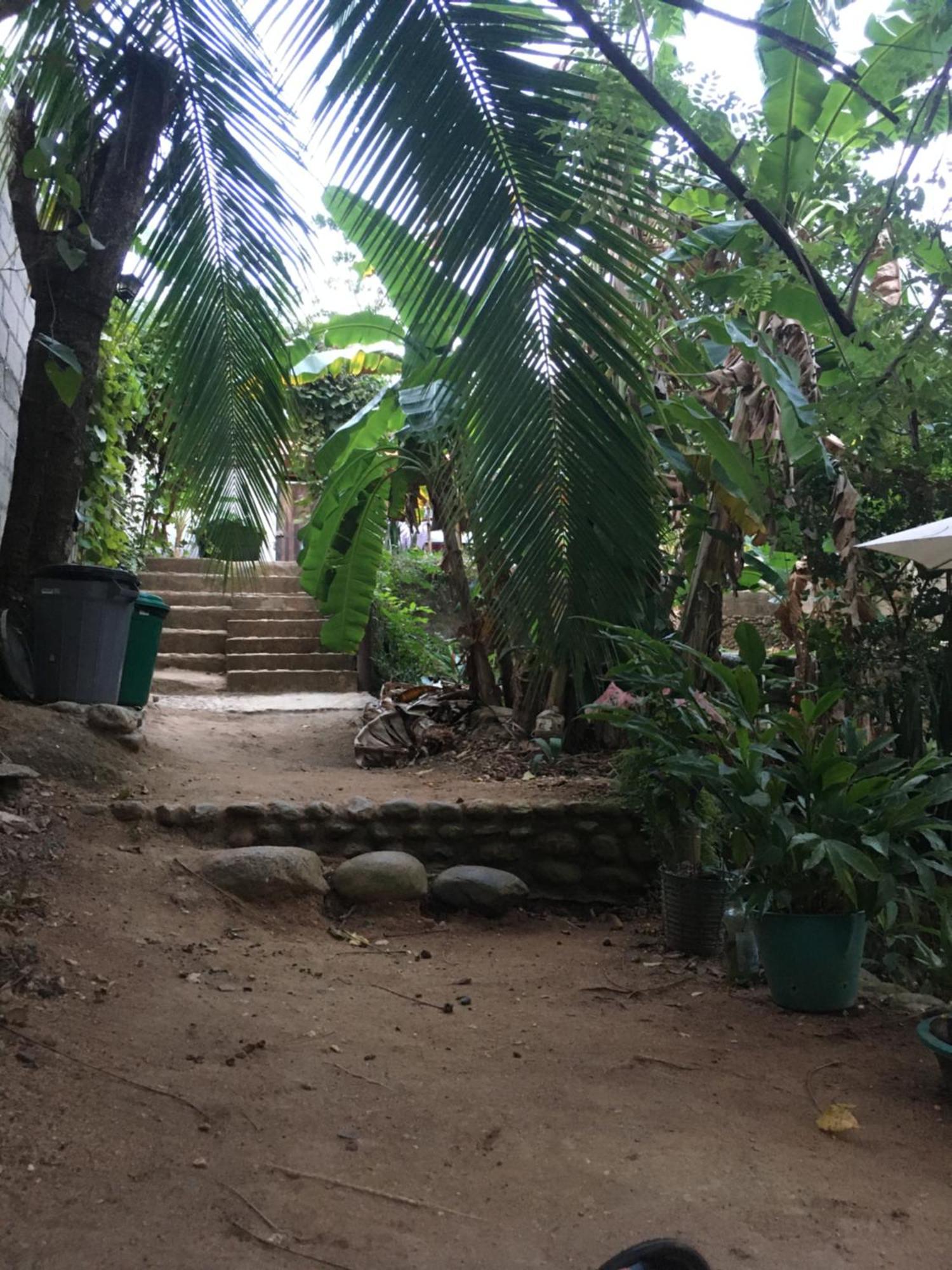 Sierra Tayrona Hostel El Zaino Exteriér fotografie